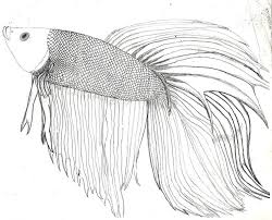 Fighter Fish Colouring Pages Fish Coloring Page Animal Coloring Pages Betta Fish