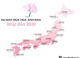 Nhật bản hoa anh đào. Hoa Anh Ä'ao Nháº­t Báº£n Ná»Ÿ Sá»›m Vnexpress Du Lá»‹ch