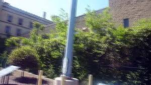 美国河流 (zh) riu fox (ca); Einbruch In Fox River Prison Prison Break Gefangnis Video Dailymotion