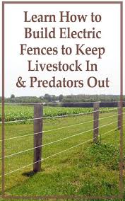 Electric fences deter bears by providing an electric shock when the animal touches the charged wires. Pin On Country Living