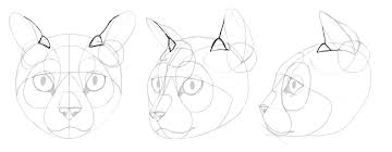 Sketchbook Original How To Draw Cats Monika Zagrobelna All the best cat poses drawing 34+ collected on this page. to draw cats monika zagrobelna