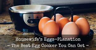 Best Egg Cooker Reviews 2019 Top 5 Recommended