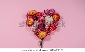 They are great to use for: Shutterstock Puzzlepix