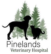 Pinelands Veterinary Hospital Forked River Nj Emergencies