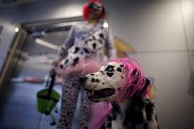 Learn all about the app ranked #1 in customer satisfaction with mobile credit card apps by j.d. These 19 States Are Cracking Down On Fake Service Dogs Pbs Newshour