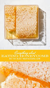 Eating Honeycomb How To Enjoy This Rare Bee Inspired Treat Recipe In 2020 Honey Recipes Eat Honeycomb