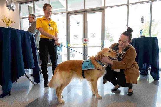 Volunteer Services | UC Davis Health