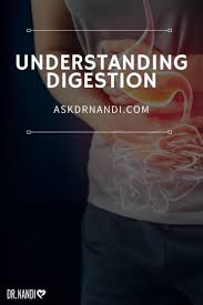 Understanding Digestion In 2020 Digestive Enzymes Benefits Healthy Lifestyle Blogs Digestion
