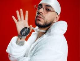 Top reggaeton artists