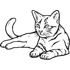 Téléchargez ou imprimez facilement en un simple clic le dessin de votre choix. Resultat De Recherche D Images Pour Simple Line Drawing Cat Dessin Chat Dessin Chat Facile Apprendre A Dessiner Un Chat