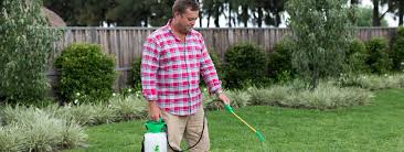 Maybe you would like to learn more about one of these? How To Repair A Lawn Full Of Weeds Cobbitty Lawn Turf
