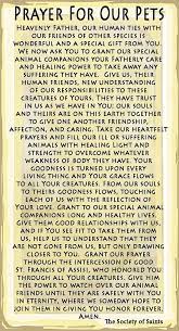 A franciscan blessing for our animal friends prayer for my pet in your infinite wisdom, lord god, when you created the universe you blessed us with all living creatures. St Francis Of Assisi Prayer Card For Pets Francis Of Assisi Prayer Prayers Saint Francis Prayer