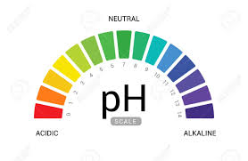 Ph Scale Indicator Chart Diagram Acidic Alkaline Measure Ph