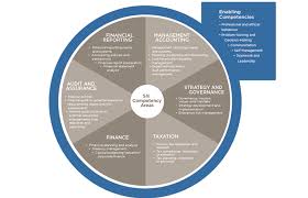 Cpa Practical Experience Competency Requirements