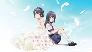 Pelicula Rascal No Suena Con Una Chica Sonadora Seishun Buta Yarou Wa Yumemiru Shoujo No Yume Wo Minai Fondo De Pantalla Hd Wallpaperbetter Jangan lupa nonton anime lainnya ya. pelicula rascal no suena con una chica