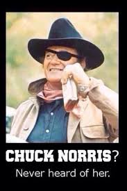 Rooster Cogburn Chuck Norris Jokes Funny Pictures Chuck Norris