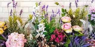 Image result for Falkia oblonga