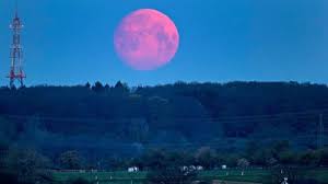 (photo by chandan khanna / afp) la superluna rosa completa se eleva sobre. Superluna Rosa Todo Lo Que Debes Saber Sobre El Fenomeno Astronomico Que Ocurrira Este 26 De Abril Infobae
