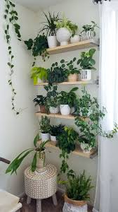 Plant Wall Houseplants Decorating With Plants Plant Shelves Plant Pots Apartment Ideas Easy House Plants Plants Indoor Design House Plants Decor