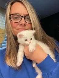 Introducing new family kitten opal