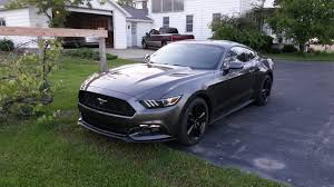 Image result for Grey 1986 Fleet