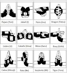 Sellos De Naruto Y Sus Nombres En Japones Y Espanol Naruto Hand Signs Martial Arts Techniques Naruto