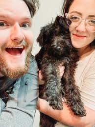 Fundraiser by Delani Williams : Support Bentley's Emergency Vet Bills