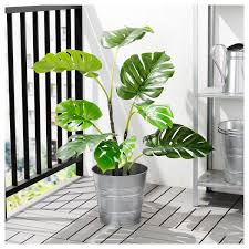 Fejka Artificial Potted Plant Indoor Outdoor Monstera Ikea Artificial Potted Plants Indoor Plants Hanging Plants