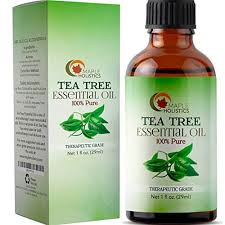Essential oils are oils that are extracted from certain flowers, trees, herbs etc. Home Remedy For Gnats Creative Homemaking