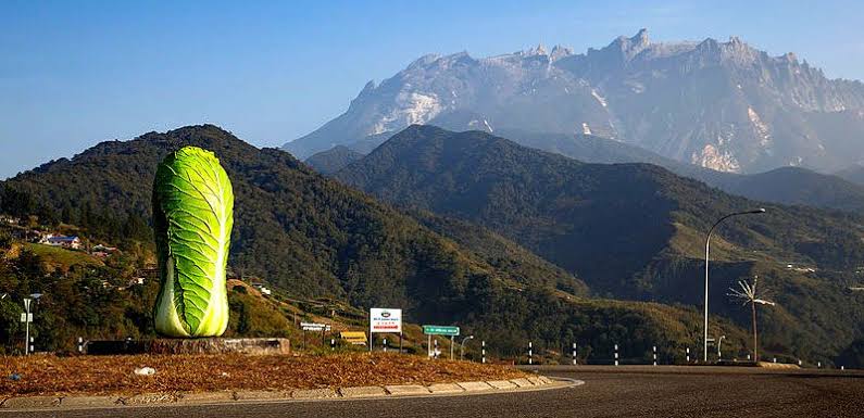 Kundasang, Malaysia: Cost of Living, Climate & Expat Life 2026