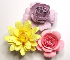 Rolled Flower Tutorial Flower Tutorial Paper Flower Tutorial Rolled Paper Flowers