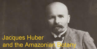 Jacques Huber e a botânica amazônica: Letters/Notebooks