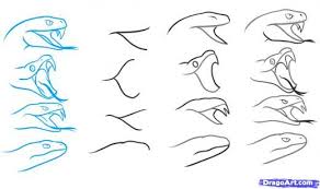 Step 4 How To Draw A Snake Head Draw Snake Heads Snake Drawing Snake Sketch Snake Art