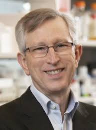 Defining and defeating metastasis