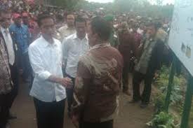 Loker pertanian adalah layanan publik dan kreator video dibidang pertanian & perkebunan. Jokowi Minta Petani Lebih Rajin