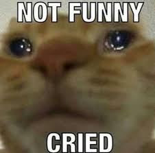 See more ideas about memes, reaction pictures, funny memes. Reaction Memes Tumblr Com Tumbex