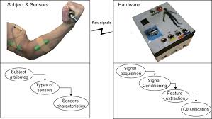 A Review of Non-Invasive Techniques to Detect and Predict Localised Muscle  Fatigue