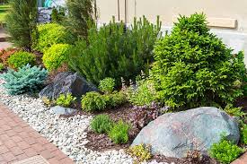 If you need some help selecting plants for your garden, this guide provides information on perennials, annuals, ground covers, vines, shrubs, and trees commonly used in designing a garden. Planting Native Plants In Your Sacramento Landscape Design Zone 9b