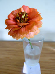 The most common homemade flower vase material is silicone. Homemade Flower Food Experiment Garden Tea Cakes And Me