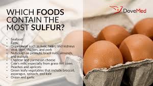 Which Foods Contain The Most Sulfur