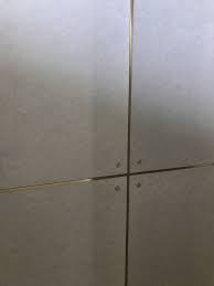 Check spelling or type a new query. 17 Wall Finishes Ideas Wall Finishes House Design House Exterior