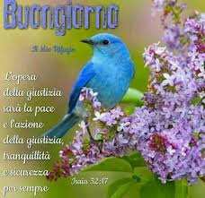 Buona Giornata Con Frasi Del Vangelo 3 Buona Giornata Buongiorno Immagini Versetti Biblici