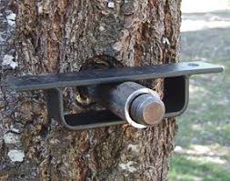 In most cases, they will seem each 4 to 6 inches. How To Build A Tree House Tree House Diy Tree House Kids Tree House Plans
