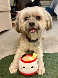 New resident introduction in Las Vegas