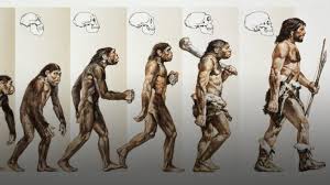 The denisovans are the first ancient hominin species revealed by genes alone, not by fossil classification. Denisovans Hashtag On Twitter