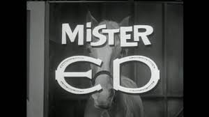 Maybe you would like to learn more about one of these? Mr Ed Theme Youtube