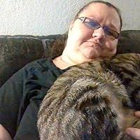 Revenge (Ethan Blake Mystery) by Sean Shepherd