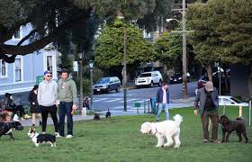 Learn about how valencia animal hospital since opening in march of 2009, our mission has always been to provide care to our patients, while respecting your time, continually improving our. Bay Area Reporter Besties Services And Shopping B A R Readers Mostly Stick With The Familiar