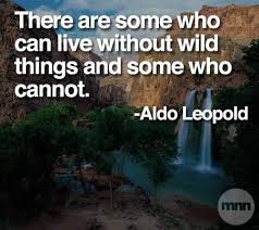 Wisconsin S Own Aldo Leopold Nature Quotes Outdoor Quotes Adventure Quotes