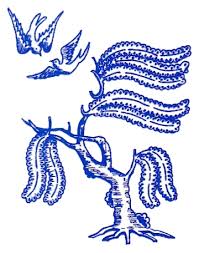 Maybe you would like to learn more about one of these? Blue Willow Studio
